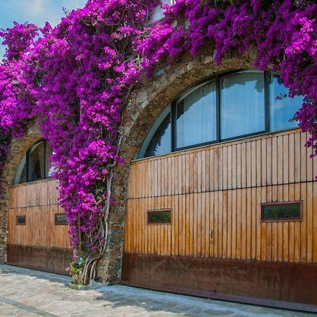 Villa Eliodora Arenzano Exterior foto